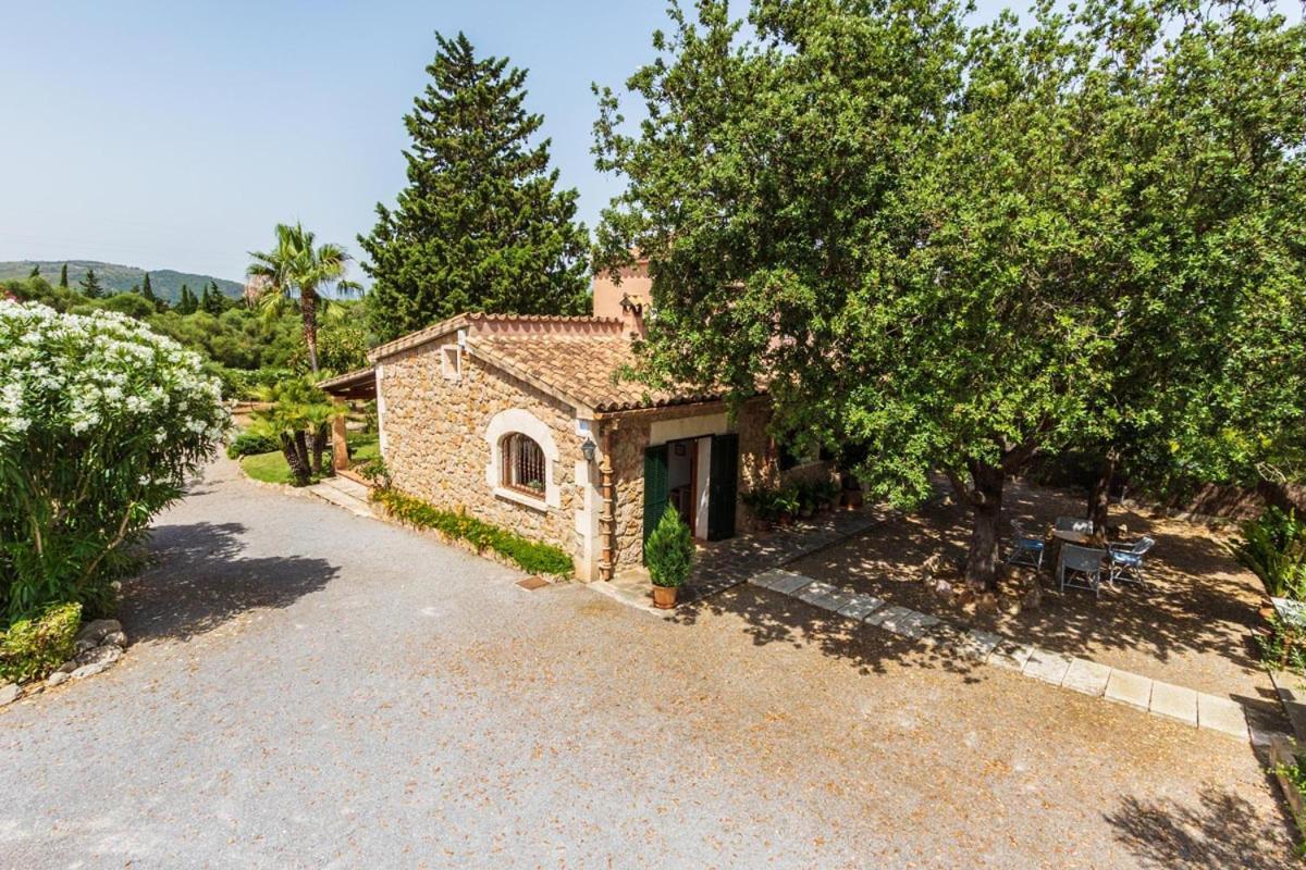 Alzina * Alcudia (Mallorca)
